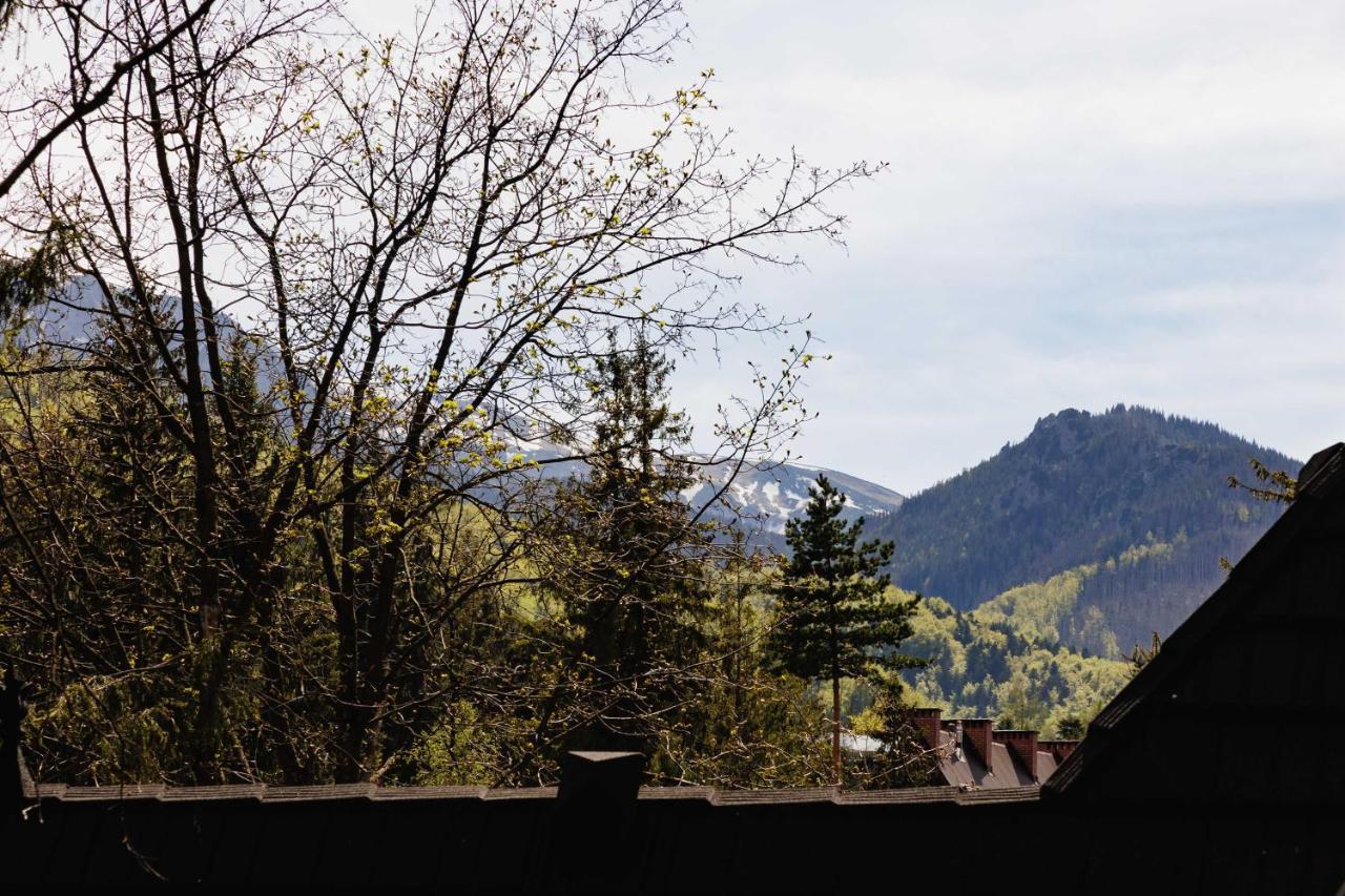 Apartamenty Chata Pod Reglami Zakopane Exterior foto